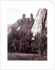 Cathedral Spires by Carleton E. Watkins
