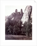 Cathedral Spires by Carleton E. Watkins