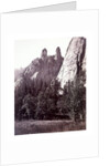 Cathedral Spires by Carleton E. Watkins