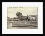Stone Lion, Trafalgar Square, London by Francis Frith & Co.