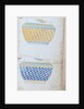 Pages from the Original Drawing Book of the Leeds Pottery manufacturers Hartley & Green by Anonymous