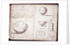 Pages from the Original Drawing Book of the Leeds Pottery manufacturers Hartley & Green by Anonymous