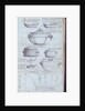 Pages from the Original Drawing Book of the Leeds Pottery manufacturers Hartley & Green by Anonymous