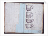 Pages from the Original Drawing Book of the Leeds Pottery manufacturers Hartley & Green by Anonymous