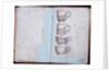 Pages from the Original Drawing Book of the Leeds Pottery manufacturers Hartley & Green by Anonymous