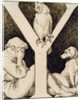 Initial Y by Godfrey Sykes