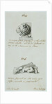 Lion and Griffin by Charles Heathcote Tatham