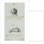 Lion and Griffin by Charles Heathcote Tatham