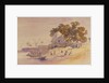 Minyeh by Edward Lear