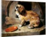 There's No Place Like Home by Edwin Henry Landseer