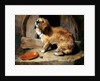There's No Place Like Home by Edwin Henry Landseer