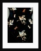 Woman's bodice by Unknown