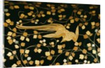 Phoenix, detail inside the lid of a coffer. Japan, 16th-17th century by Anonymous