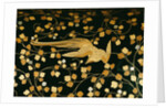 Phoenix, detail inside the lid of a coffer. Japan, 16th-17th century by Anonymous