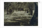 Kensington Gardens by Unknown