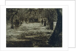 Kensington Gardens by Unknown