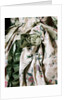 Gown. England, 18th century, remade in France, 19th century by Unknown