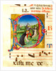Initial letter P, depicting The Martyrdom of St Peter by Anonymous