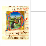 Initial letter P, depicting The Martyrdom of St Peter by Anonymous