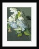 White and blue lilac with moth by Christel Eli
