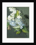 White and blue lilac with moth by Christel Eli