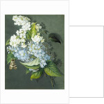 White and blue lilac with moth by Christel Eli