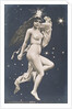 Vega by Unknown