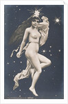 Vega by Unknown