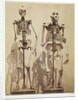 Skeletons by Roger Fenton