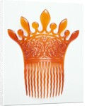 Comb by Alexander Parkes