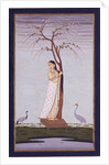 A lady standing beneath a tree braiding or drying her hair by Unknown
