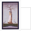 A lady standing beneath a tree braiding or drying her hair by Unknown