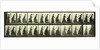 Women chasing another woman with a broom by Eadweard Muybridge