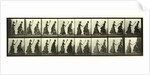 Women chasing another woman with a broom by Eadweard Muybridge