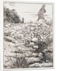 The parable of the sower by John Everett Millais