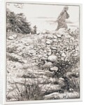 The parable of the sower by John Everett Millais