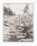 The parable of the sower by John Everett Millais