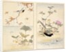 Three prints of birds and flowers by Unknown