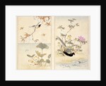 Three prints of birds and flowers by Unknown