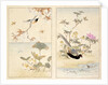 Three prints of birds and flowers by Unknown