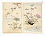 Three prints of birds and flowers by Unknown