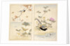 Three prints of birds and flowers by Unknown