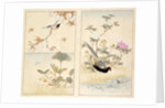 Three prints of birds and flowers by Unknown