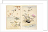 Three prints of birds and flowers by Unknown