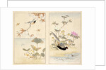 Three prints of birds and flowers by Unknown