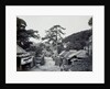 Kanagawa by Felice Beato