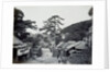 Kanagawa by Felice Beato