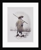 A workman in rain dress by Felice Beato