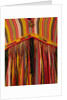 Woman's dress. Afghanistan, early 20th century by Unknown