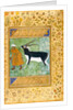 An Indian black buck being led by its keeper by Anonymous
